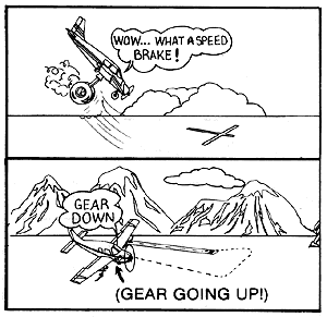 5.gif